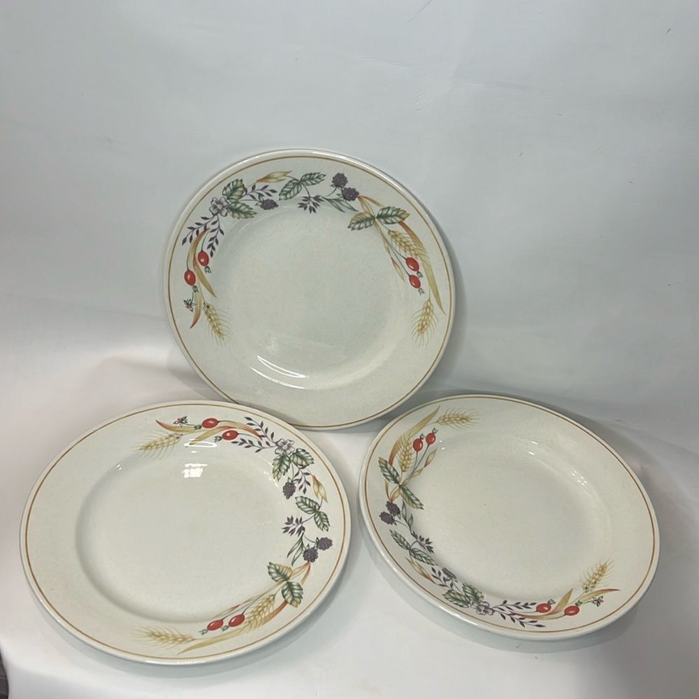 Churchill Plates Made Staffordshire England Fine Tableware 9 1/2 In Round Set 3